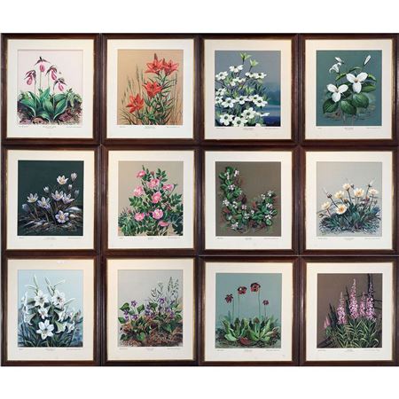 Emblematic flowers of Canadian provinces and territories