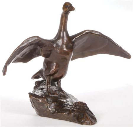 An Upright Goose with Spread Wings on Rocky Outcrop