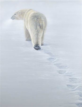 Disappearing Footprints