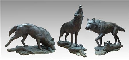 Wolf Pack