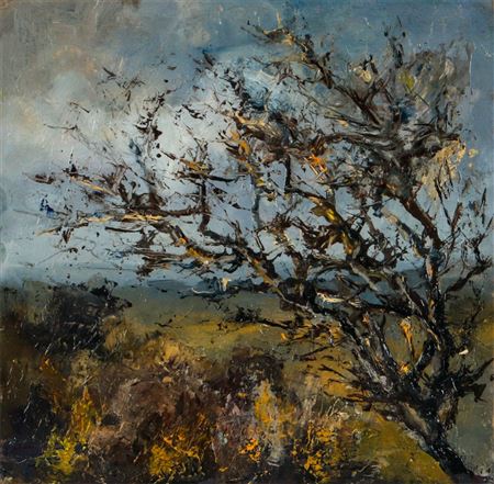 'FAIRY THORN, SPERRINS'