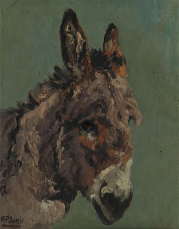 'HEAD OF A DONKEY'