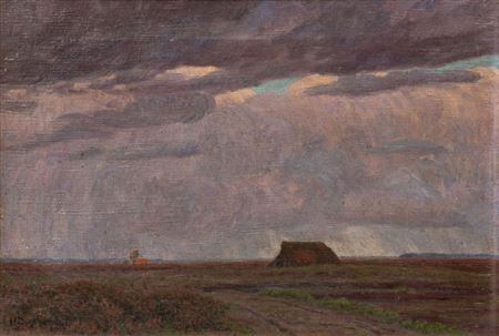 Moorland Landscape