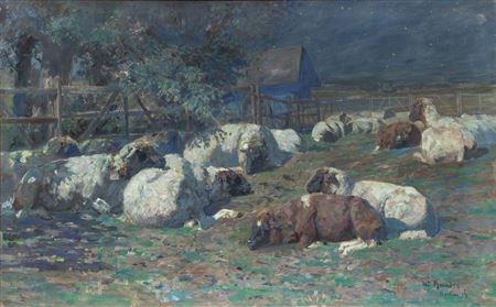Resting Sheep at Night