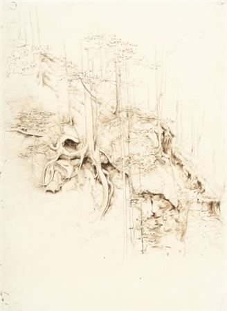 Landscape with trees and rocks on a slope