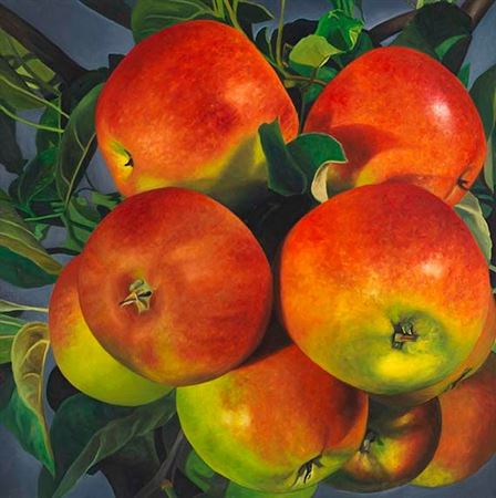 Apples. 1996.