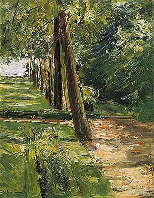 The birch avenue in the Wannsee Garden looking east