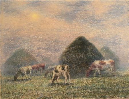 Cows in the pastures