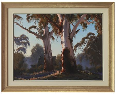 Sunrise Gums
