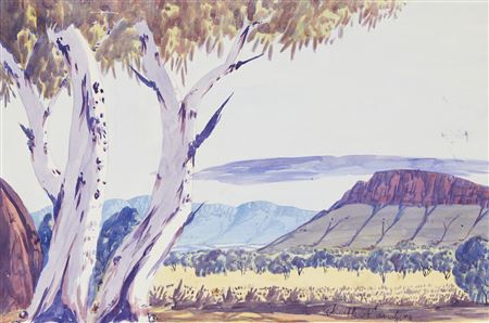 Red River Gums