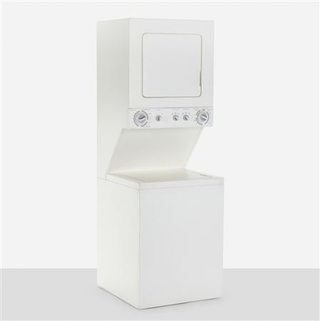 Combo Washer/Dryer #1