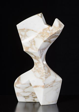 Torso