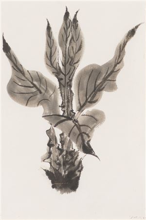 Waterplant #6