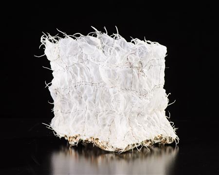 Silver Fungus Box
