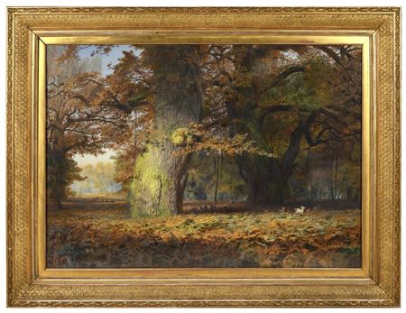 Fallow Deer in a Forest