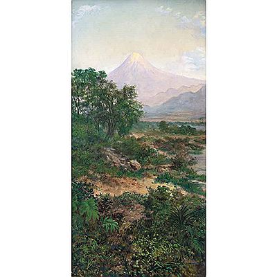 Untitled by Isidro Martinez Colin - Auction record, sale price, and art valuation. Compare with similar artists and explore comparable artworks.