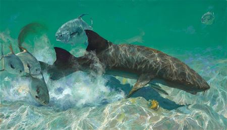 Nurse Shark & Four Permit by Stanley Meltzoff - Auction record, sale price, and art valuation. Compare with similar artists and explore comparable artworks.
