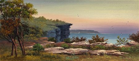 Coogee Headlands from Dunningham Reserve