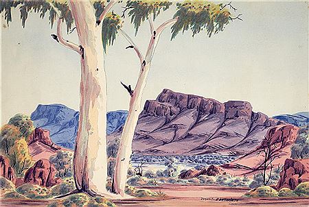 Central Australian Landscape