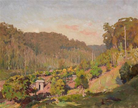 Morning Sunshine, Yarramalong Valley