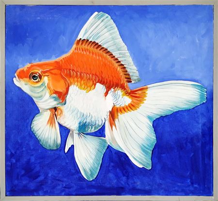 'Goldfish'