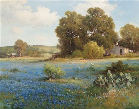Bandera Bluebonnets