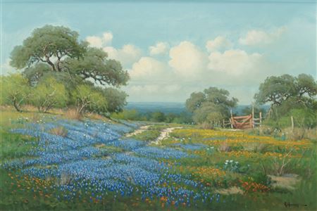 Encroachment (Near Georgetown Texas)
