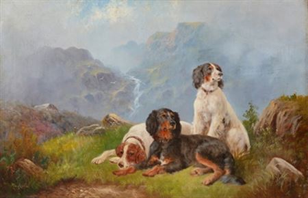 Gundogs on a Rocky Hillside