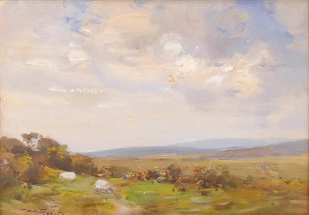 Landscape with Sheep