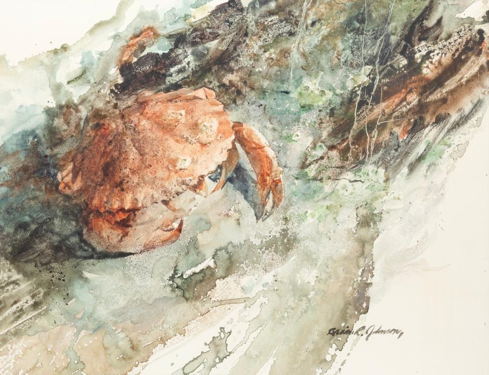 Crab and Driftwood by Brian R Johnson - Auction record, sale price, and art valuation. Compare with similar artists and explore comparable artworks.