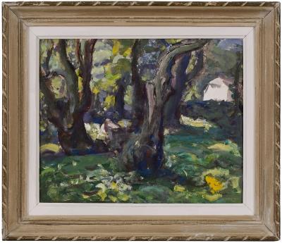 Olive Trees in Provence