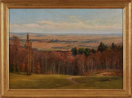 Taunus Landscape