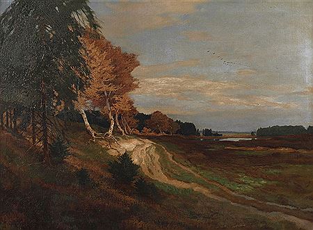 Extensive Landscape of Autumnal Moor