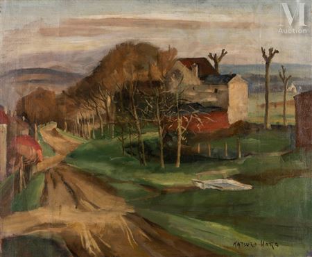 Path in a village