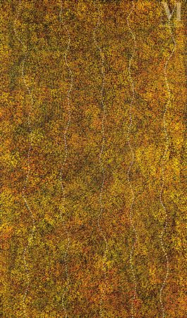 Bush Plum Dreaming