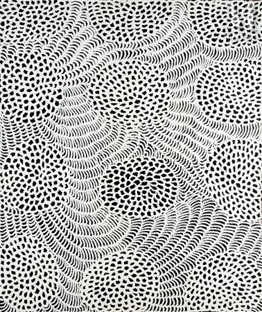 Bush Onion Dreaming, 2014