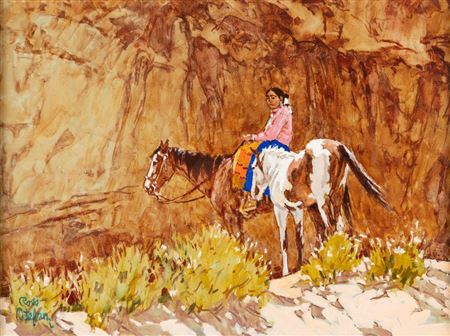 Canyon Shade