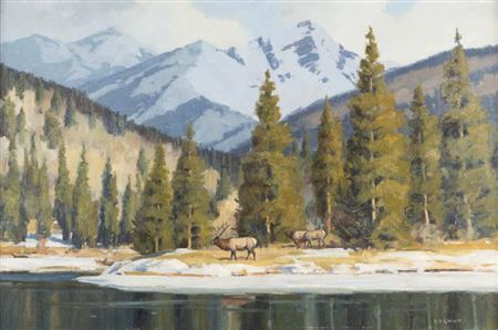 Elk in the Rockies