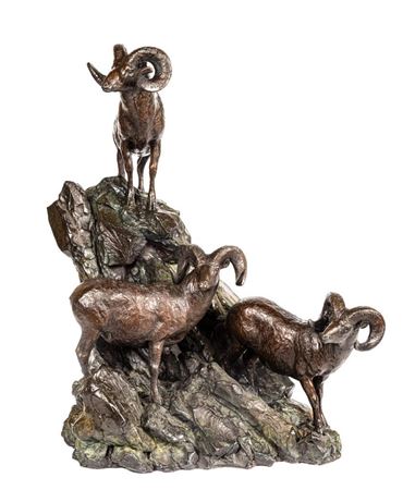 Big Horn Sheep