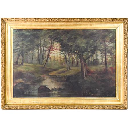A woodland creek scene