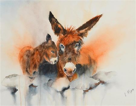 Little Donkey