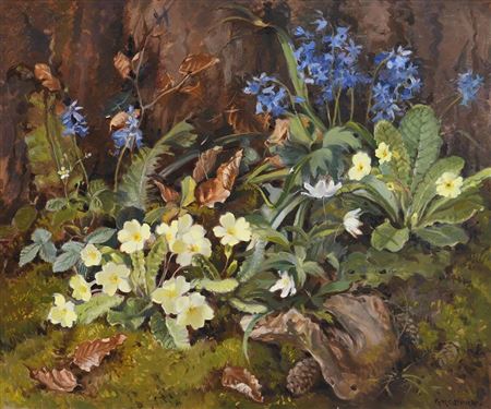 Spring Flowers