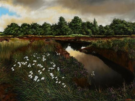 Twilight of the Bogs, Offaly by Sam Mateer - Auction record, sale price, and art valuation. Compare with similar artists and explore comparable artworks.