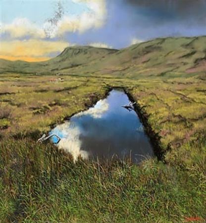Cattle in the Bog