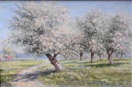 Spring Landscape
