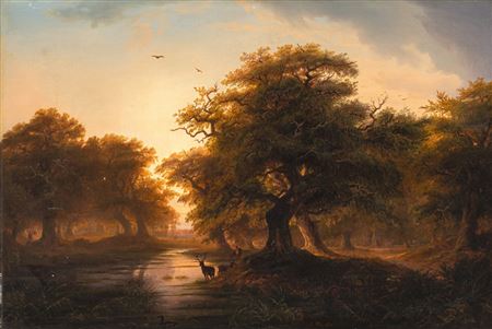 Wood landscape at sunset