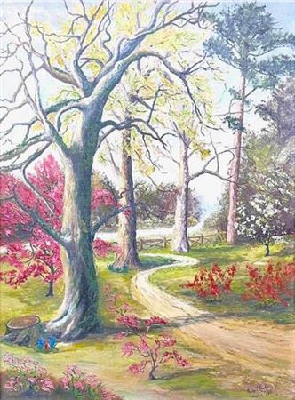 Forest Scenery