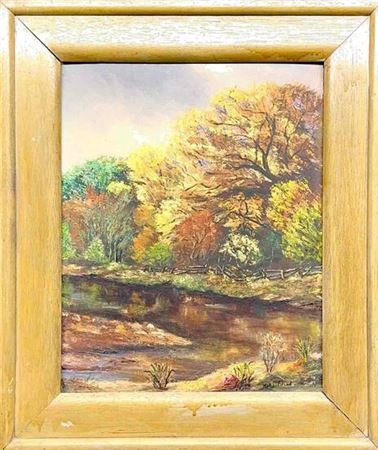 Forest and Stream