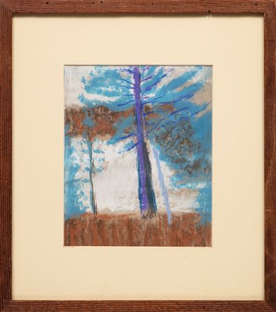 "The Old Pine"