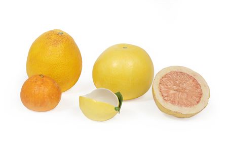 Grapefruit slice, grapefruit, pomelo, orange, and a lemon cup
